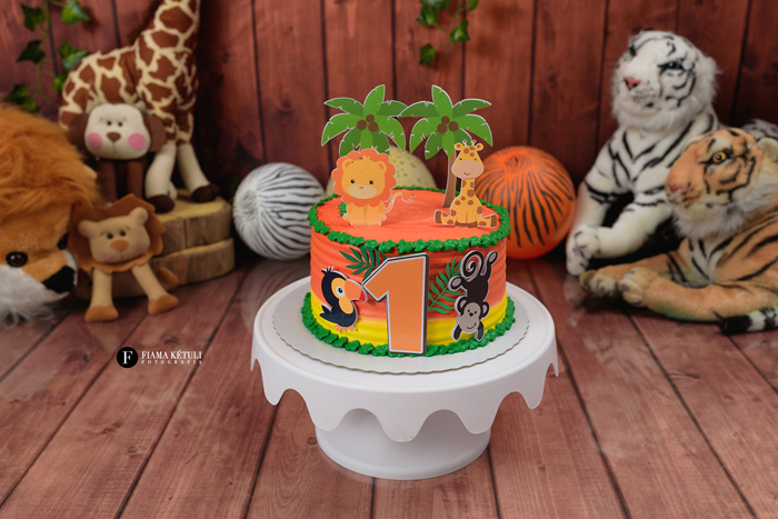 Bolo para Smash cake tema safari em estúdio para menino em Brasília.jpg