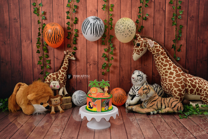 Smash cake tema safari em estúdio para menino em Brasília