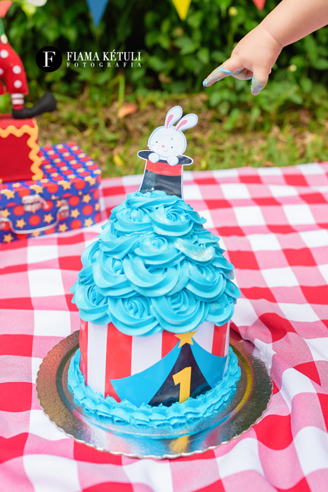 Smash the Cake tema Circo Menino