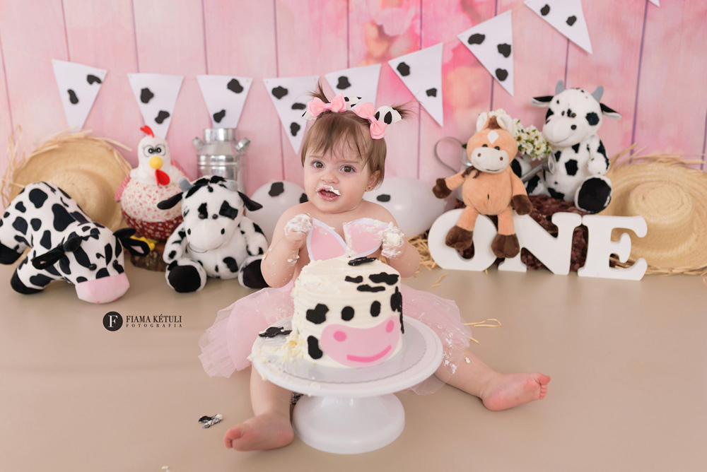 Smash the Cake Fazendinha Rosa – Ana Luísa